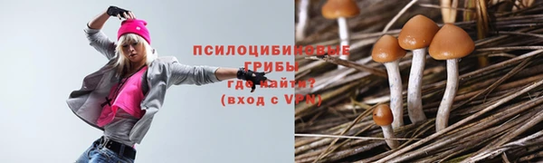 ПСИЛОЦИБИНОВЫЕ ГРИБЫ Волосово