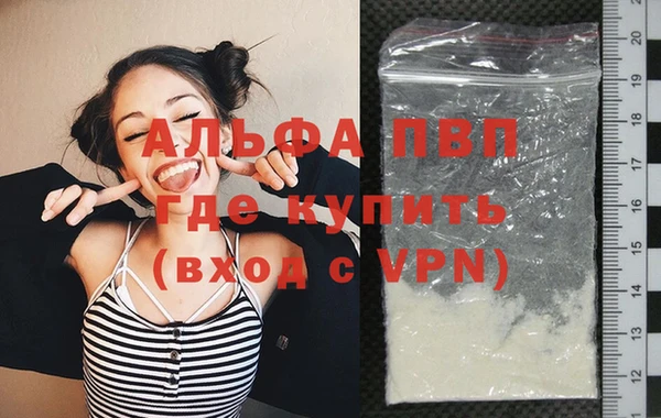 ECSTASY Вяземский