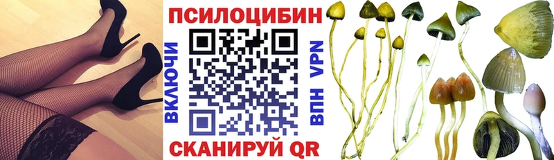 Псилоцибиновые грибы Psilocybe  закладки  Дрезна 